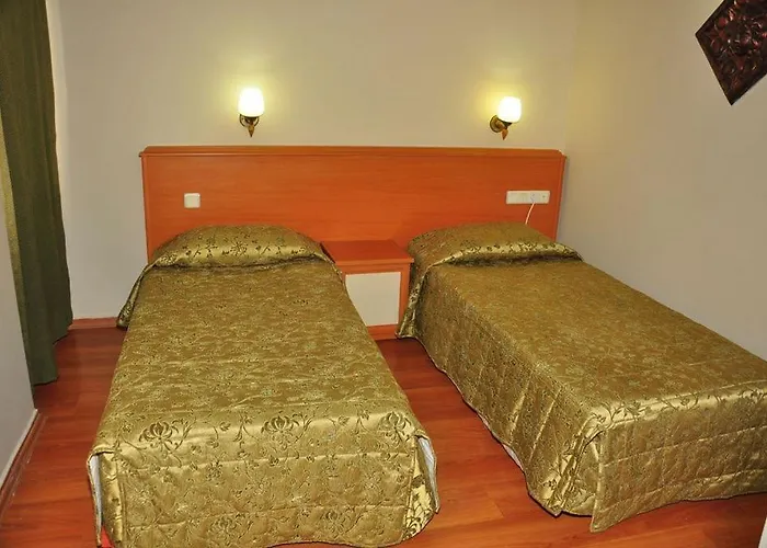 Cinar Family מלון סייד